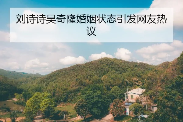 刘诗诗吴奇隆婚姻状态引发网友热议